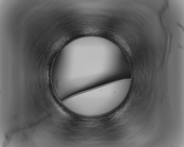 X0000097920633200803141032