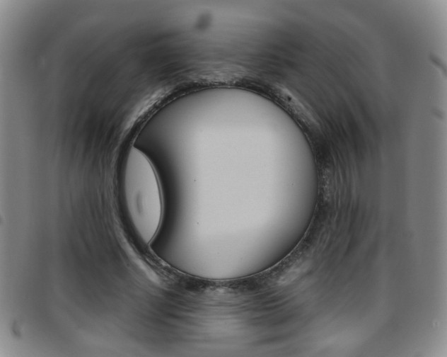 X0000097920634200803141032