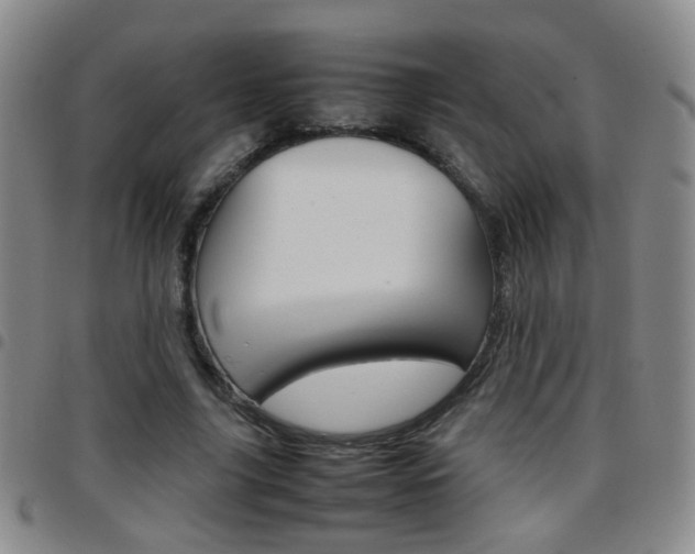 X0000097920635200803141032