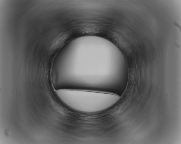 X0000097920639200803141032