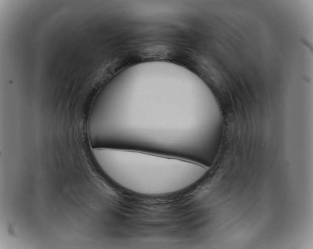 X0000097920641200803141032