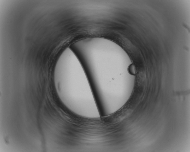 X0000097920644200803141032