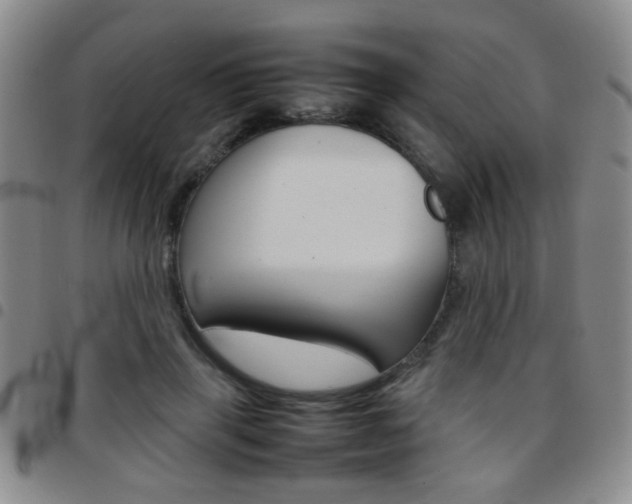 X0000097920645200803141032