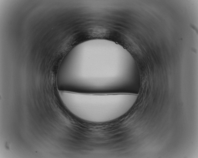X0000097920647200803141032
