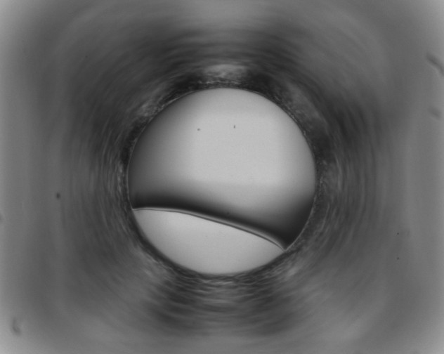 X0000097920649200803141032