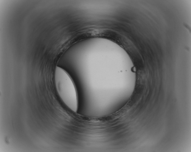 X0000097920650200803141032