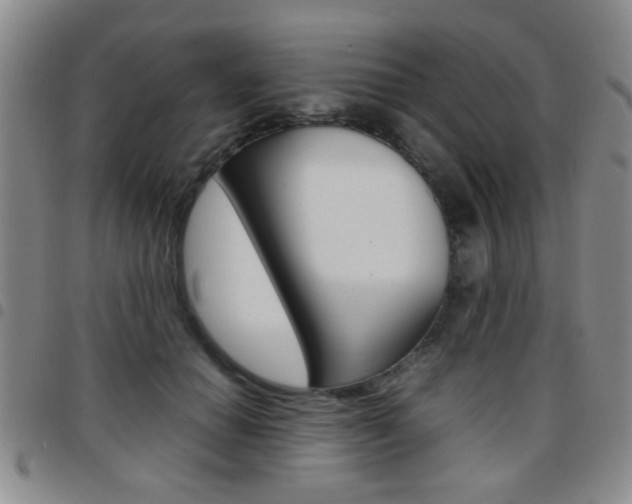 X0000097920654200803141032