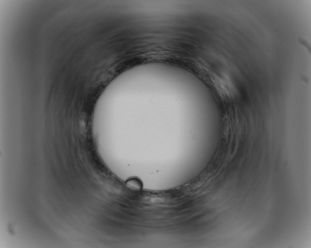 X0000097920655200803141032