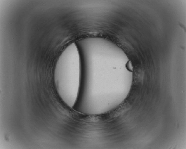 X0000097920656200803141032