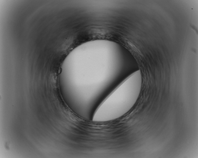 X0000097920661200803141032