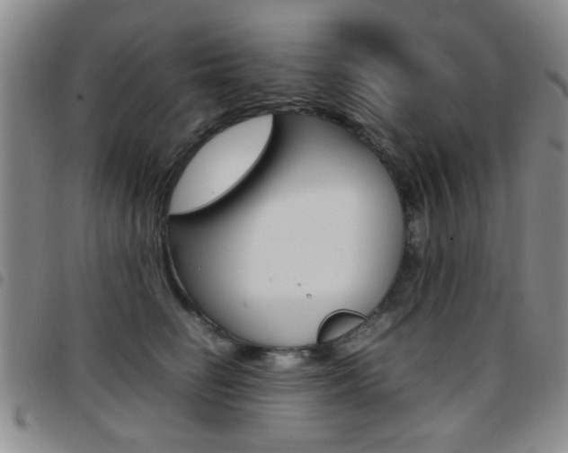 X0000097920662200803141032