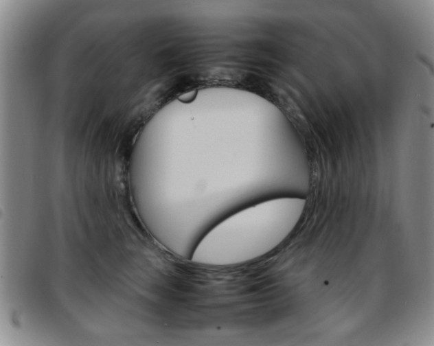 X0000097920663200803141032