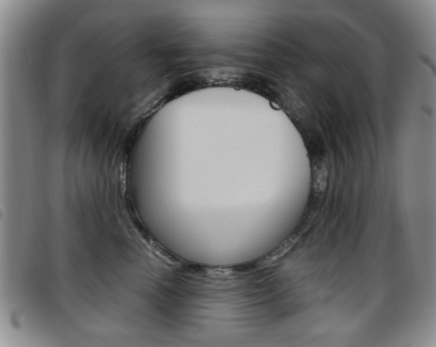 X0000097920666200803141032