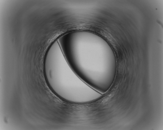 X0000097920673200803141031