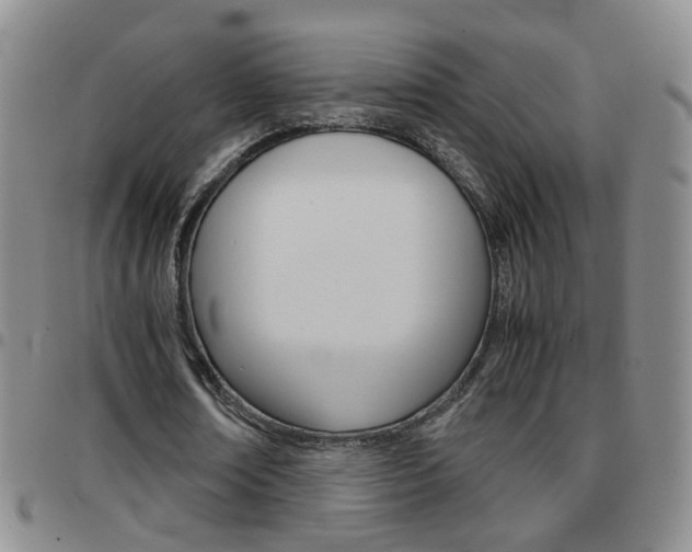 X0000097920674200803141031
