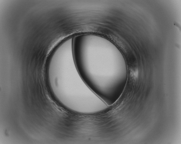 X0000097920676200803141031