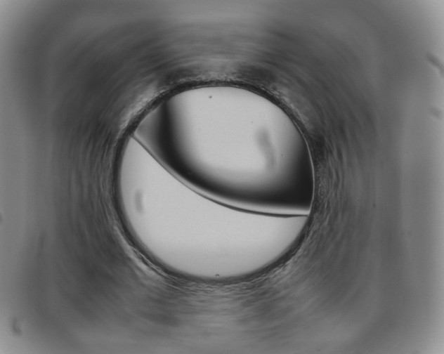 X0000097920677200803141031