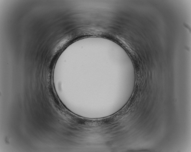 X0000097920679200803141031