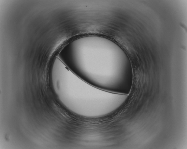 X0000097920680200803141031