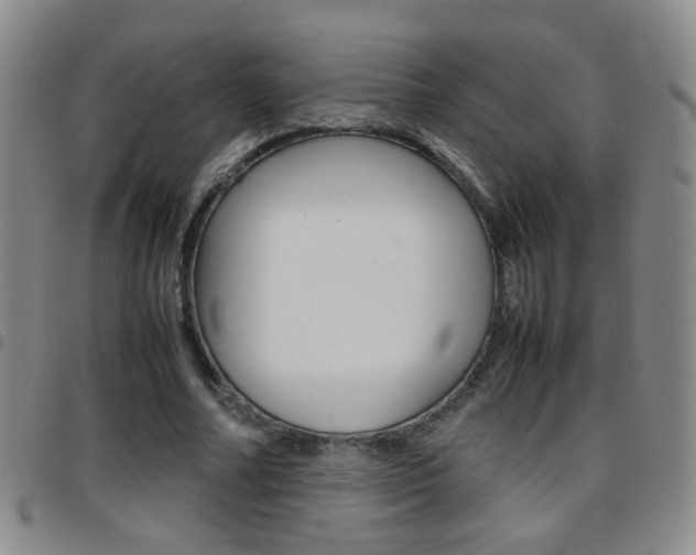 X0000097920682200803141031