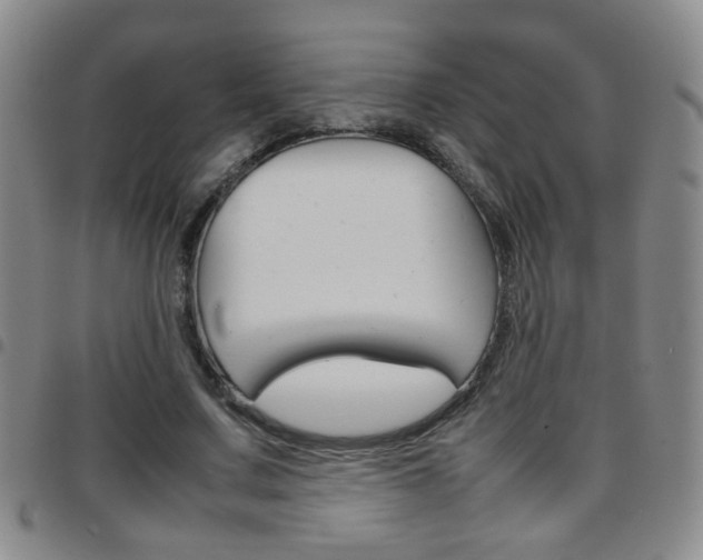 X0000097920683200803141031