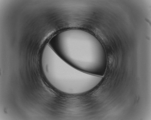 X0000097920684200803141031