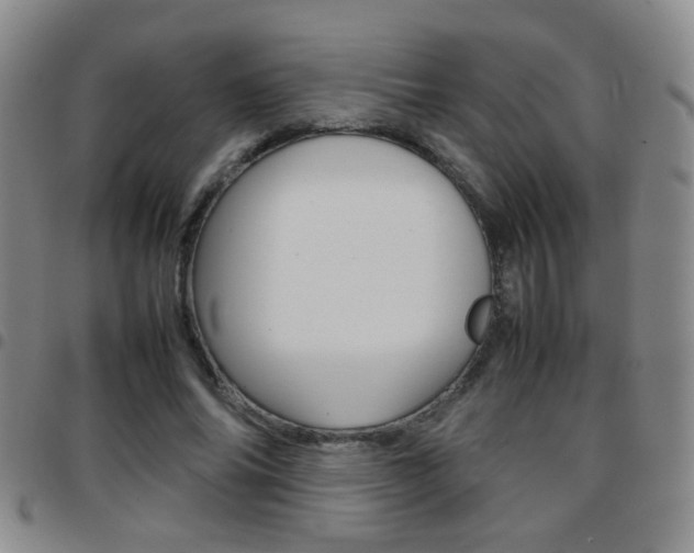 X0000097920686200803141031