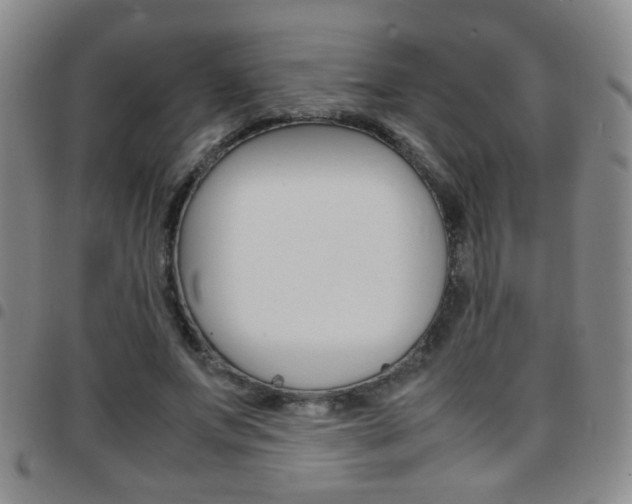 X0000097920687200803141031