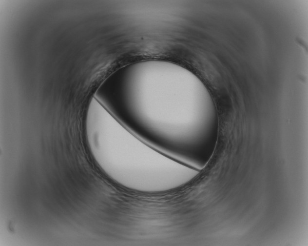 X0000097920689200803141031