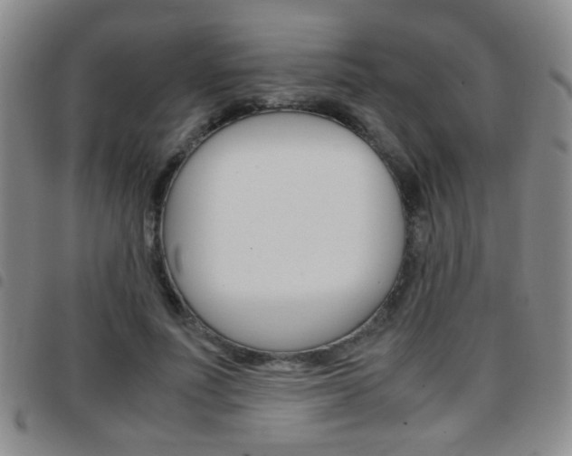 X0000097920691200803141031