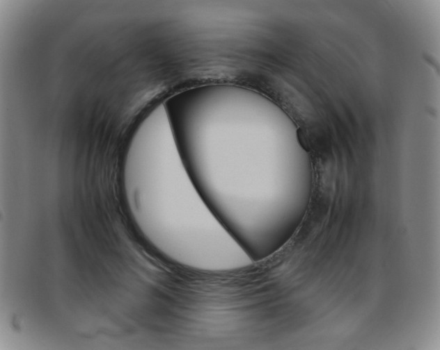 X0000097920692200803141031