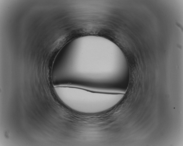 X0000097920693200803141031