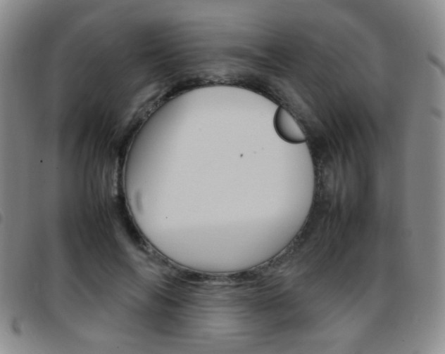 X0000097920694200803141031