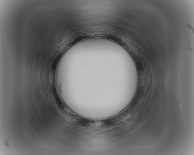 X0000097920695200803141031