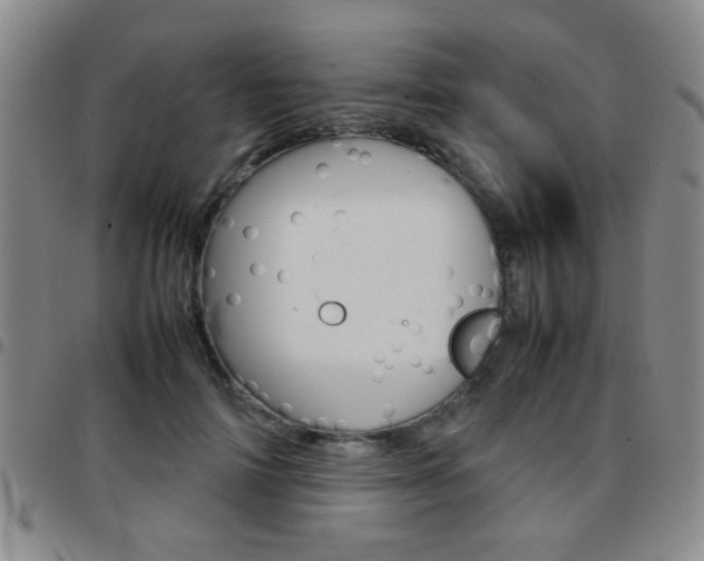 X0000097920698200803141031