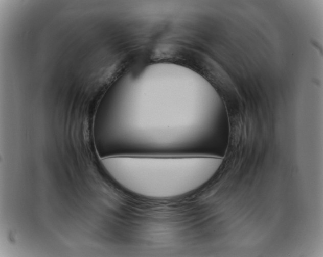 X0000097920700200803141031