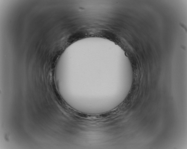 X0000097920703200803141031