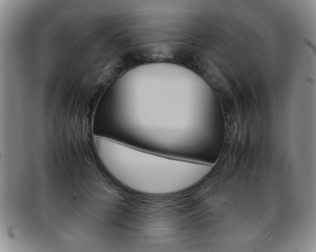 X0000097920704200803141031