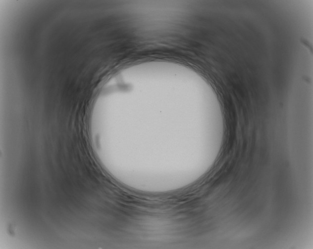 X0000097920705200803141031
