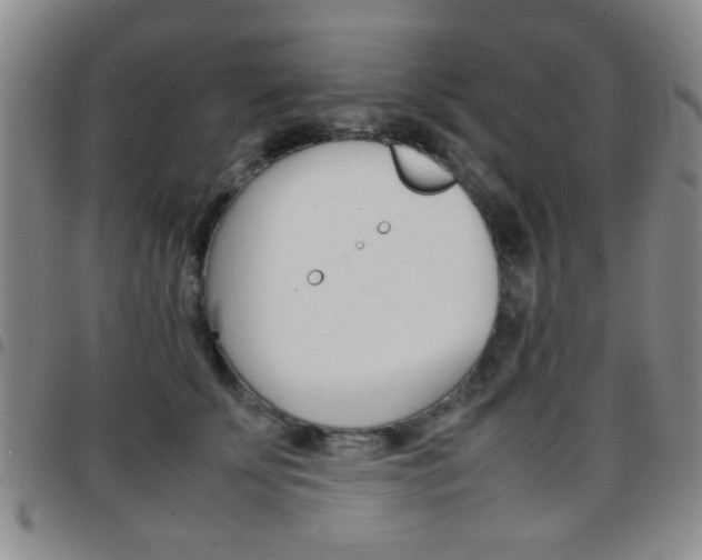 X0000097920707200803141031