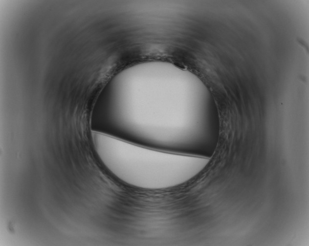 X0000097920708200803141031