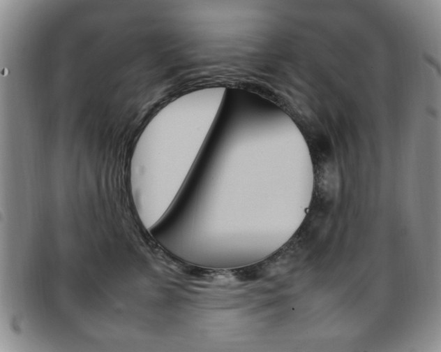 X0000097920715200803141031