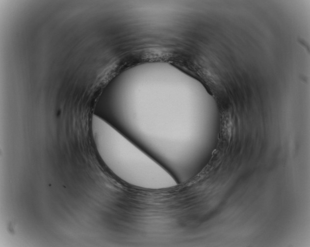 X0000097920716200803141031