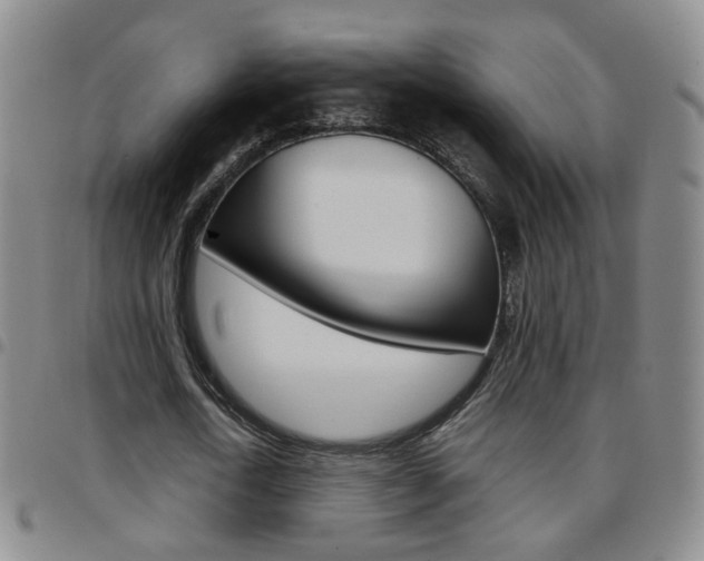 X0000097920722200803141030