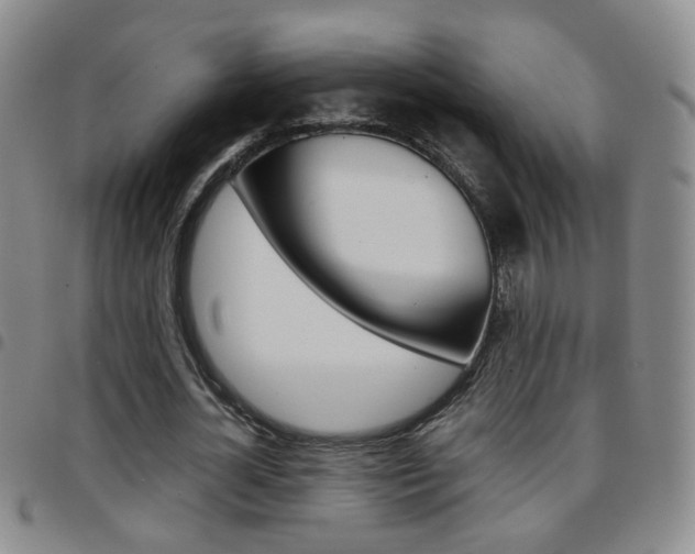 X0000097920724200803141030