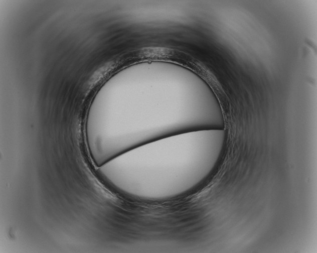 X0000097920725200803141030