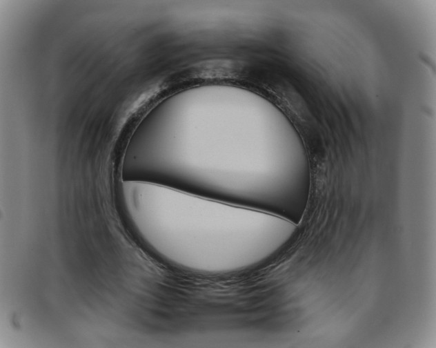 X0000097920727200803141030