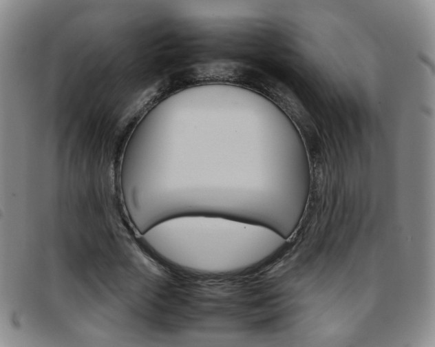 X0000097920729200803141030
