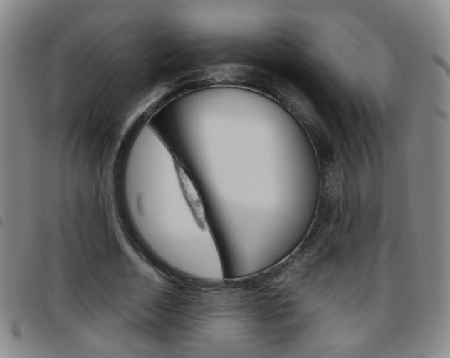 X0000097920730200803141030