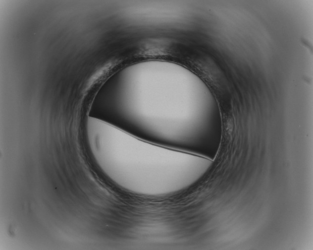 X0000097920732200803141030